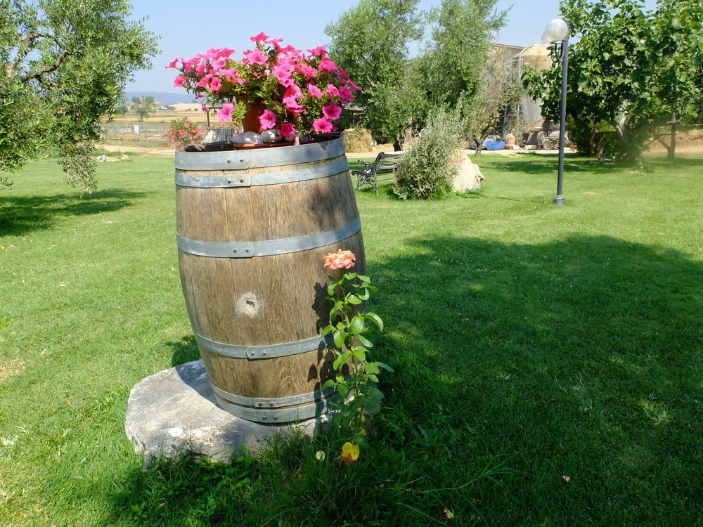 Agriturismo Al Girasole San Donato  Exteriör bild